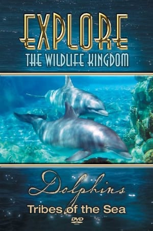 Poster di Explore the Wildlife Kingdom: Dolphins - Tribes of the Sea