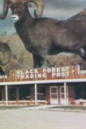 Image Black Forest Trading Post