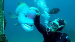 Image Go Deep! Underwater Paradise