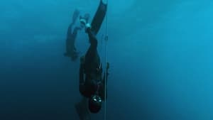 Home Game Freediving