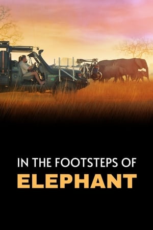 Poster In den Fußstapfen von Elefanten 2020