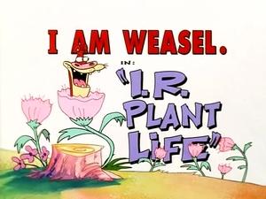 I Am Weasel I.R. Plant Life