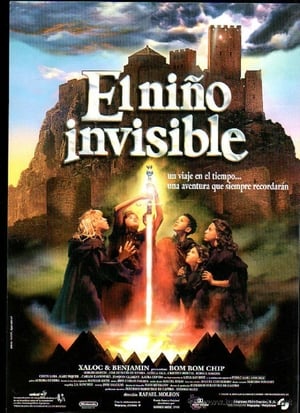 Poster El niño invisible 1995