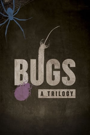 Image Bugs: A Trilogy