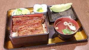 Journeys in Japan: 13×2