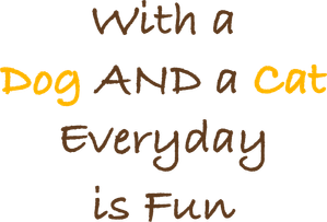 With a Dog AND a Cat, Every Day Is Fun