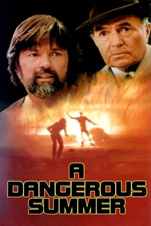 Poster A Dangerous Summer 1982