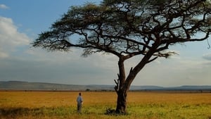 Image The Serengeti Rules