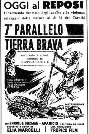 Séptimo Paralelo 5