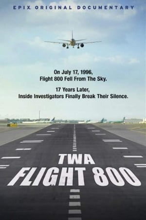 TWA Flight 800 2013