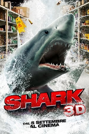 Poster Shark 2012
