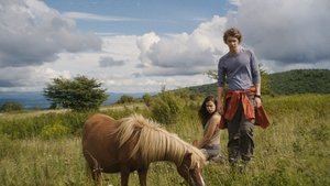 Maine (2018) Türkçe Dublaj izle