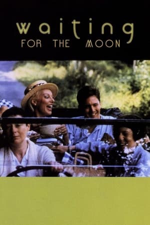Poster Warten auf den Mond 1987
