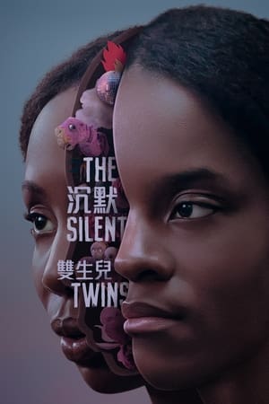 Poster 沉默的双胞胎 2022