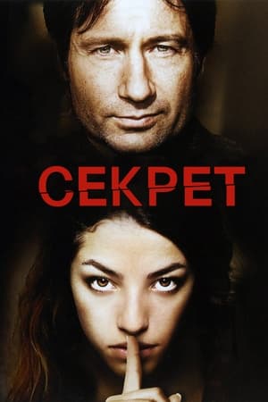 Poster Секрет 2007