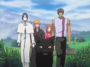 Bleach: 1×23