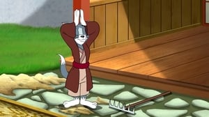 Tom and Jerry Tales: 2×4