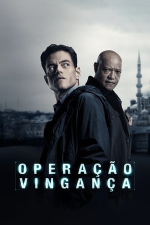 poster The Amateur