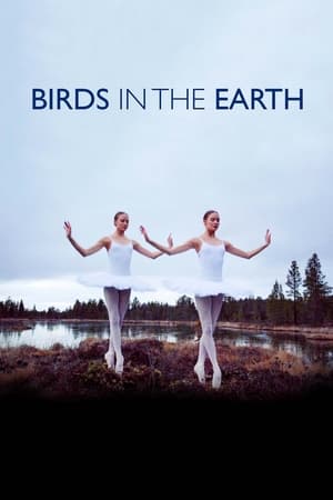 Poster Birds in the Earth (2018)