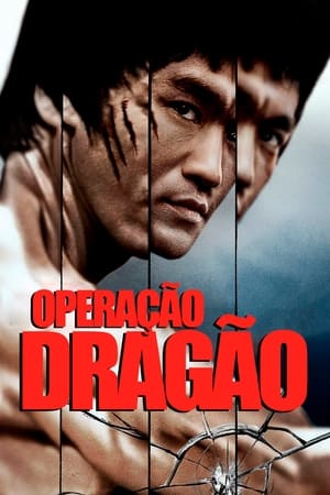 Poster O Dragão Ataca 1973