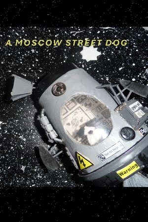 A Moscow Street Dog (2023)