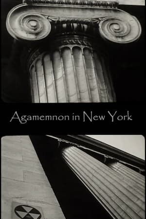 Image Agamemnon in New York
