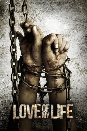 Poster Love of My Life (2013)