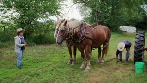 Heartland Docs, DVM Old Town Rodeo