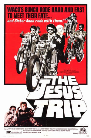 Poster The Jesus Trip 1971