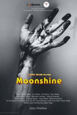 Image Moonshine