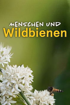 Menschen und Wildbienen - Ein konfliktreiches Zusammenleben