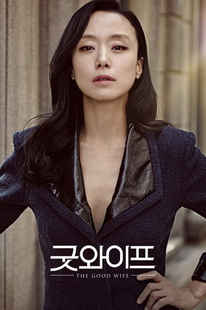 The Good Wife 18