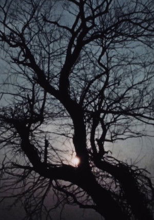 Street Film Part VII