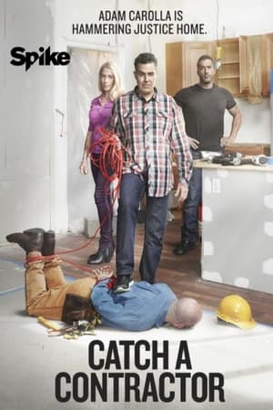 Poster Catch a Contractor 2014