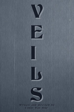VEILS 3