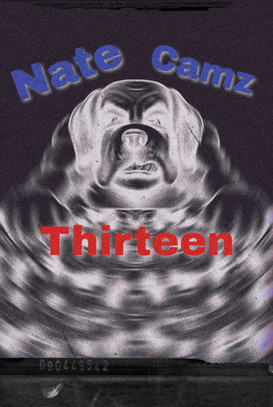 Natecamz 13