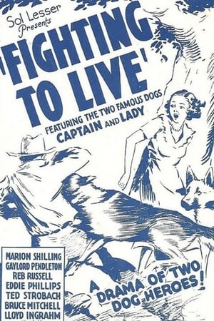 Poster Fighting to Live (1934)