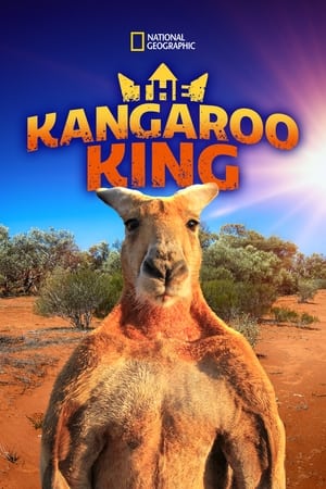 Poster The Kangaroo King 2015