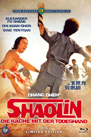 Poster Shaolin - Die Rache mit der Todeshand 1976