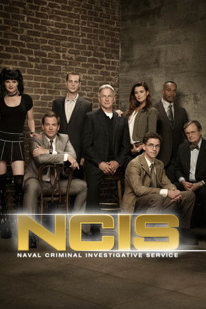 poster NCIS