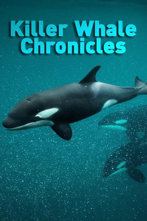 Killer Whale Chronicles (2026)
