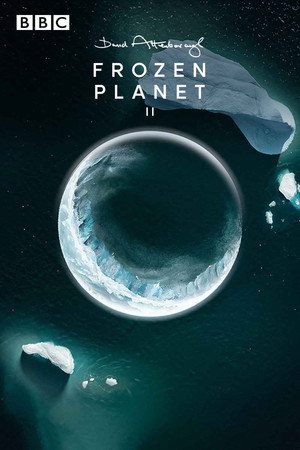 Frozen Planet II 25