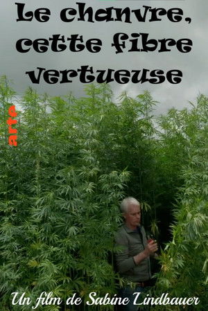 Die rückkehr der hanffaser