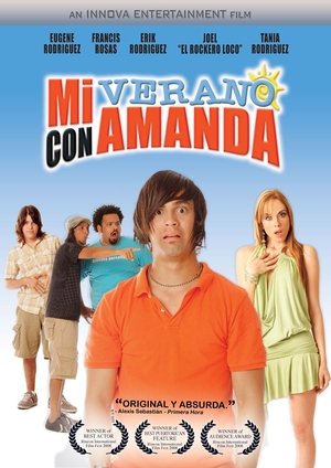 Poster Mi verano con Amanda 2008