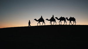 Est-il vrai que seule la soie transitait par la route de la soie ?