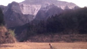 PYRAMID: Kaleidoscope Memories of Destruction