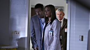 Dr. House – Medical Division 4 – Episodio 6