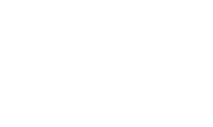 العاصوف — Logos 1