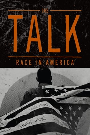 The Talk: Race in America poster