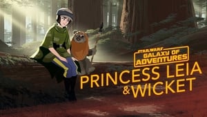 Image Princess Leia - An Unexpected Friend